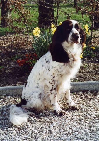 CH. Hermine du Clos de Rivarenne
